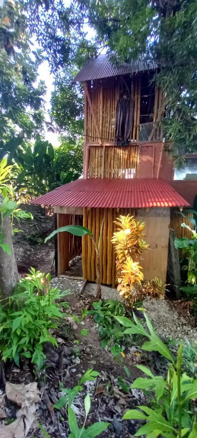 Treehouse Above The Beach Port Antonio Ngoại thất bức ảnh