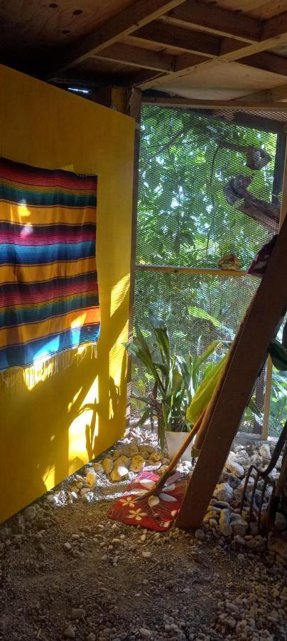 Treehouse Above The Beach Port Antonio Ngoại thất bức ảnh