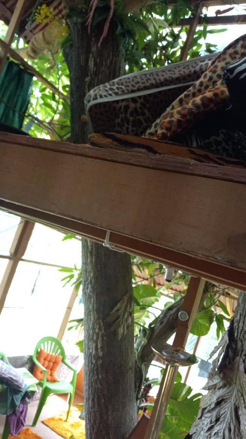 Treehouse Above The Beach Port Antonio Ngoại thất bức ảnh