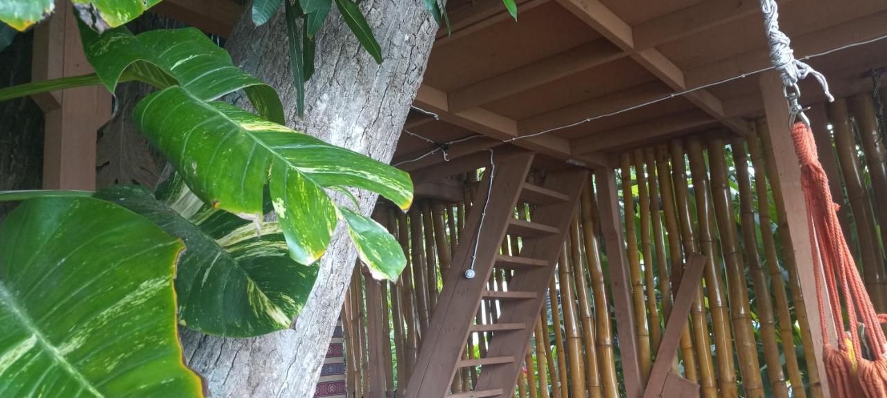 Treehouse Above The Beach Port Antonio Ngoại thất bức ảnh