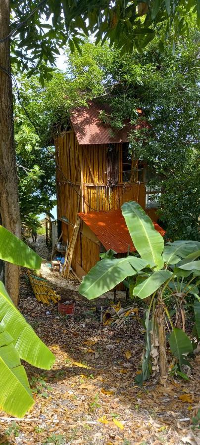 Treehouse Above The Beach Port Antonio Ngoại thất bức ảnh