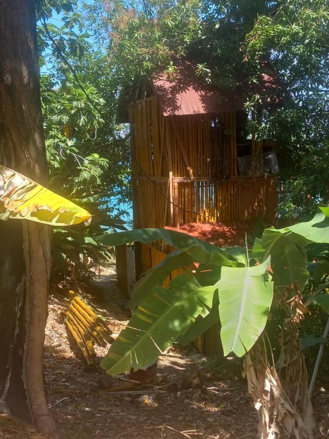 Treehouse Above The Beach Port Antonio Ngoại thất bức ảnh