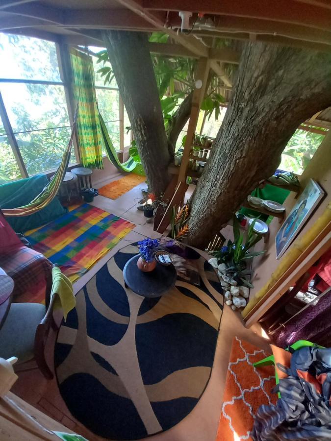 Treehouse Above The Beach Port Antonio Ngoại thất bức ảnh